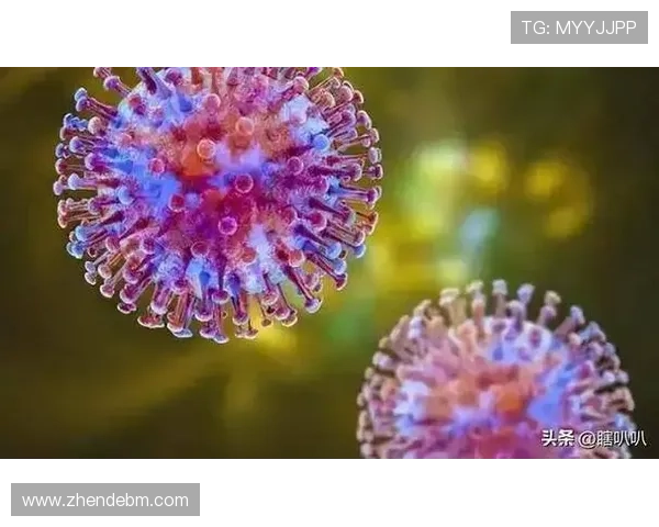 绍尔：球队整体表现稳定但关键时刻细节仍需提升